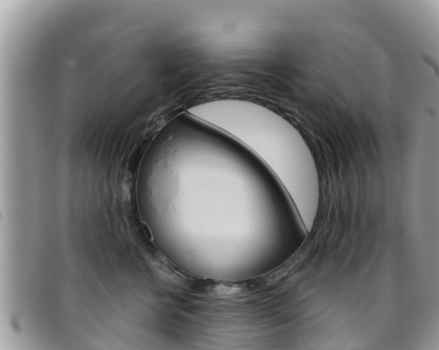 X0000096160570200801180854