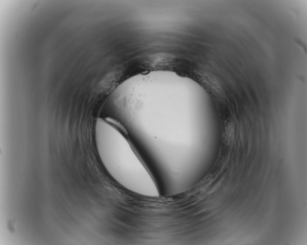 X0000096160571200801180854