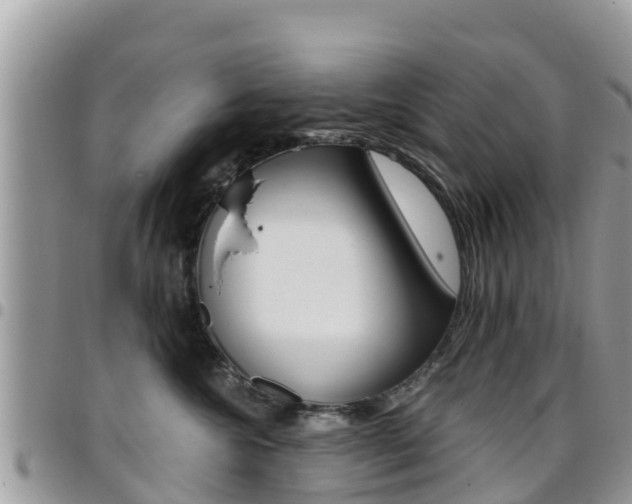 X0000096160572200801180854
