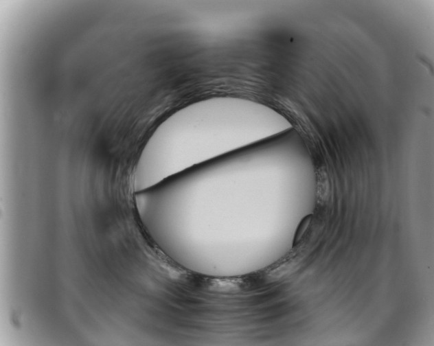 X0000096160573200801180854
