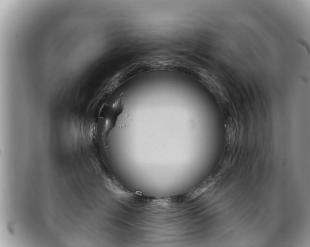 X0000096160574200801180854