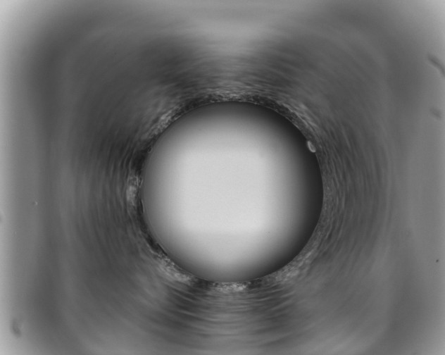 X0000096160576200801180854