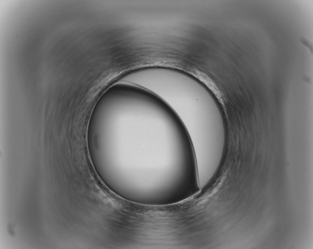 X0000096160577200801180853