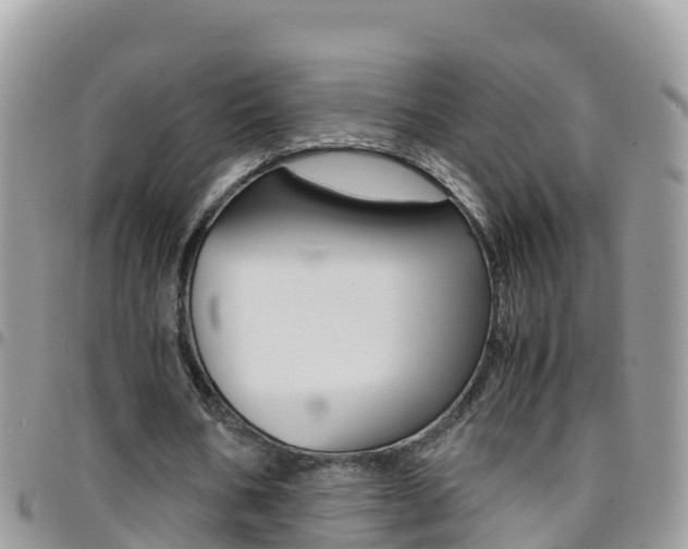 X0000096160578200801180853
