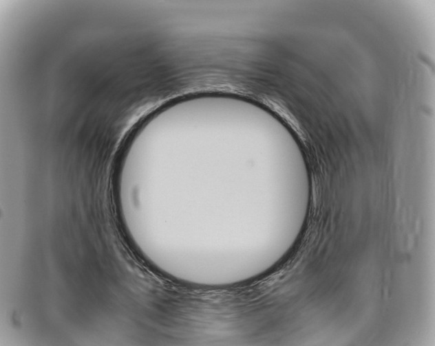 X0000096160579200801180853