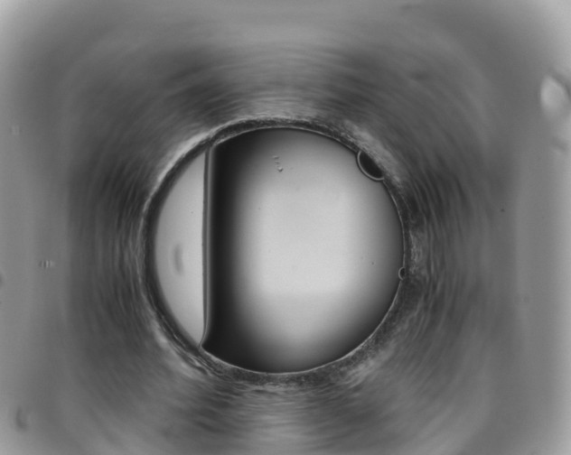 X0000096160580200801180853