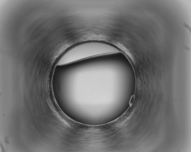 X0000096160581200801180853