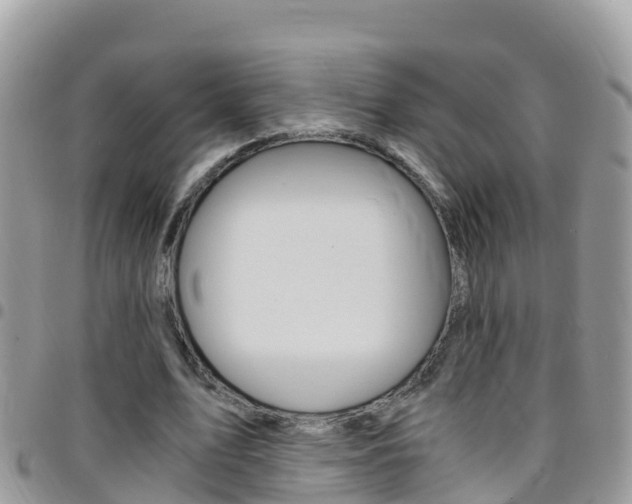 X0000096160583200801180853
