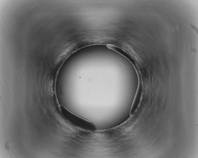 X0000096160585200801180853