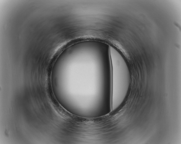 X0000096160588200801180853