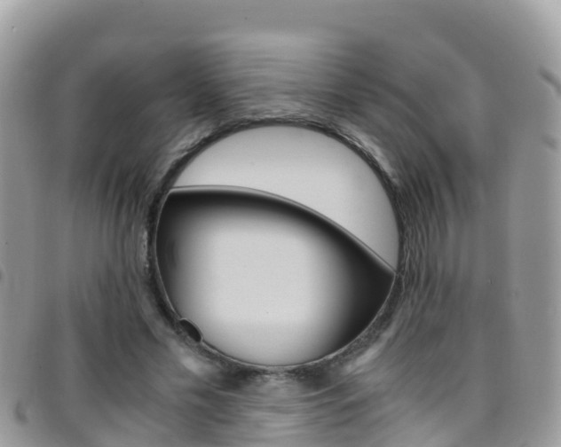X0000096160589200801180853