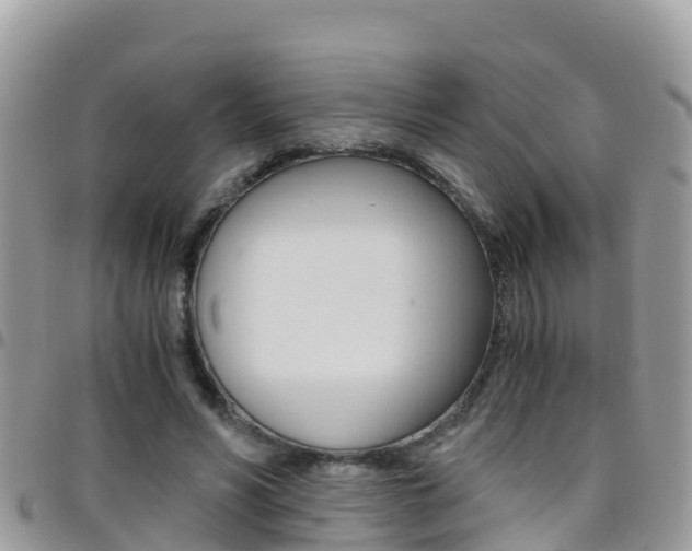 X0000096160590200801180853