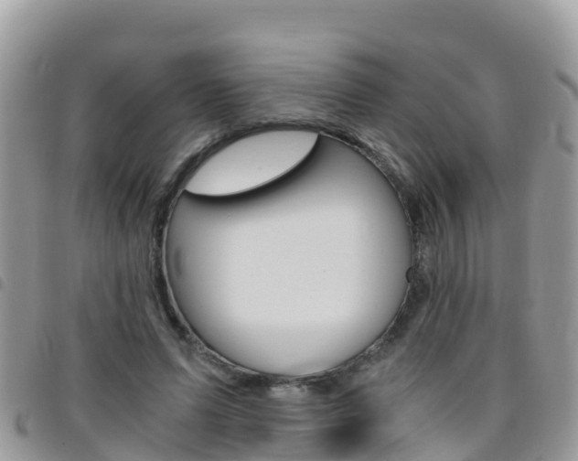 X0000096160591200801180853