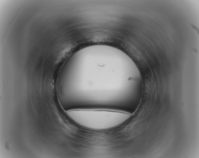 X0000096160592200801180853
