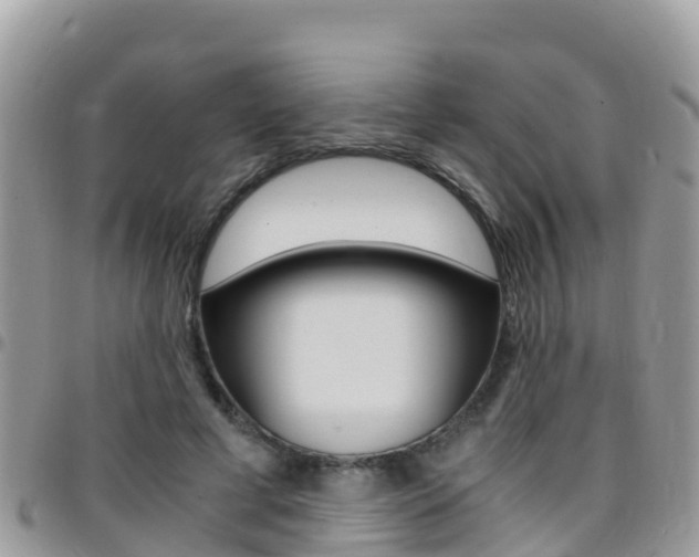 X0000096160593200801180853