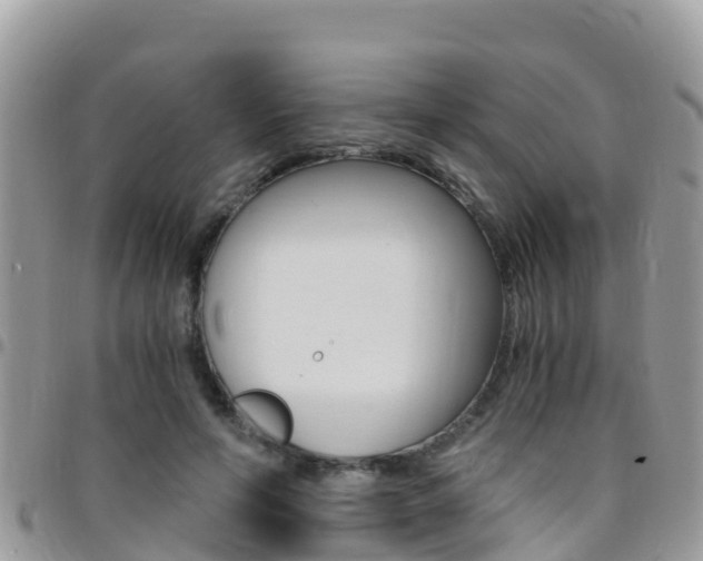 X0000096160594200801180853