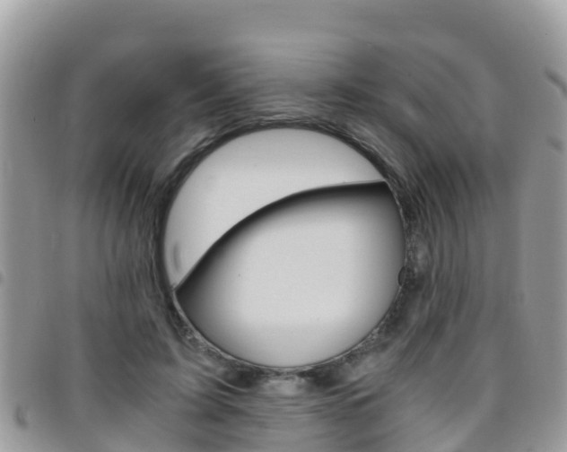 X0000096160595200801180853