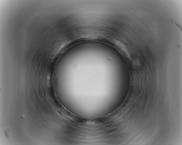 X0000096160596200801180853