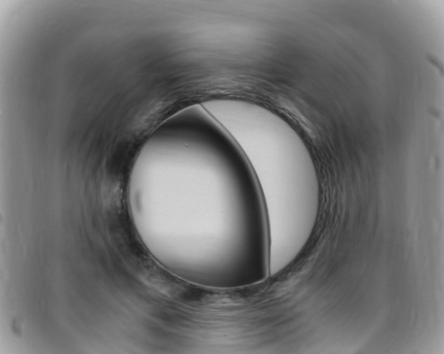 X0000096160597200801180853