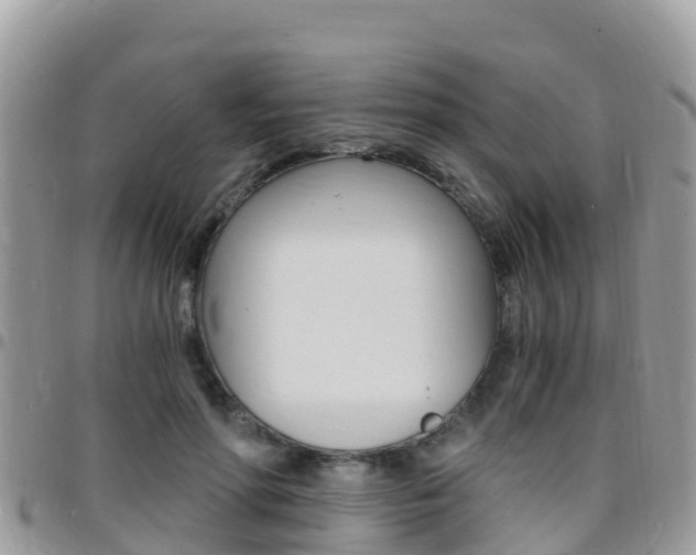 X0000096160598200801180853