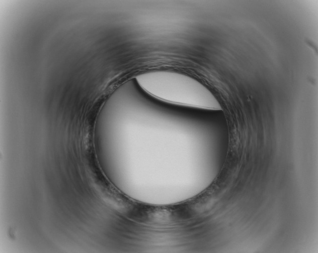 X0000096160600200801180853