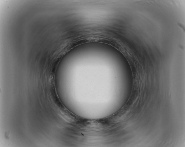 X0000096160601200801180853