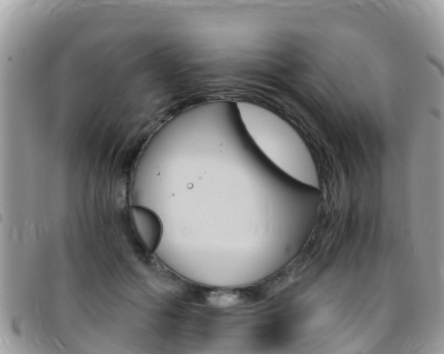 X0000096160602200801180853