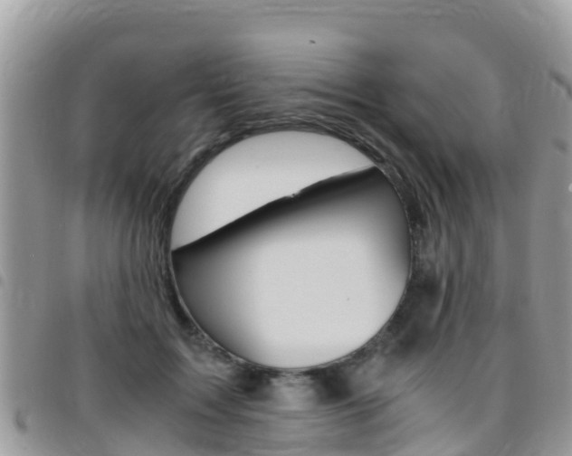 X0000096160603200801180853