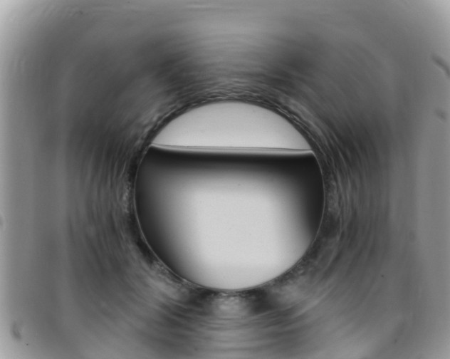 X0000096160604200801180853