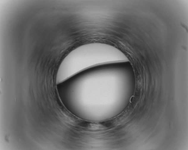 X0000096160605200801180853