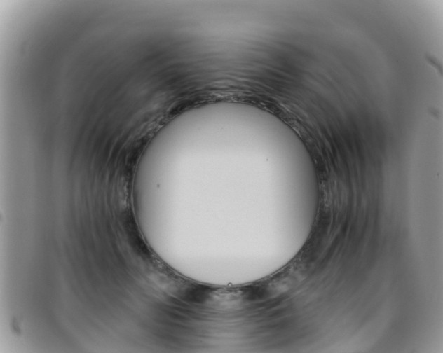 X0000096160606200801180853