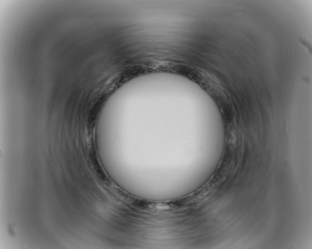 X0000096160607200801180853