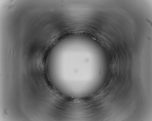 X0000096160608200801180853