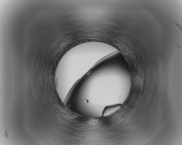 X0000096160609200801180853