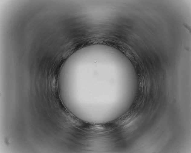 X0000096160610200801180853