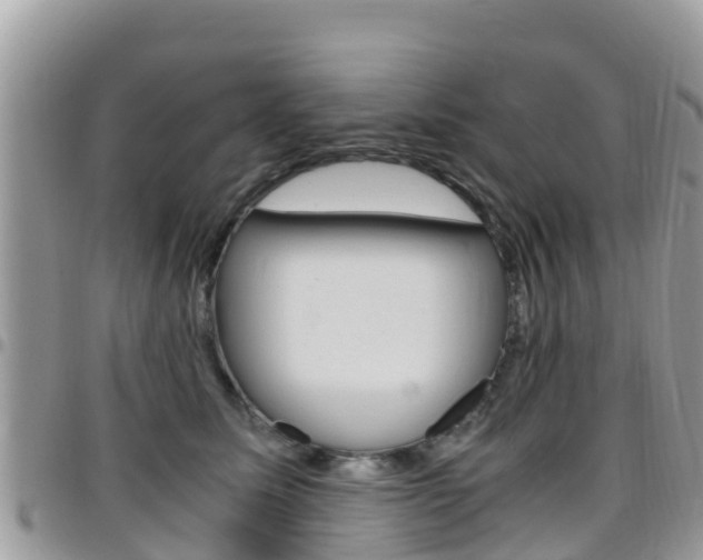 X0000096160611200801180853