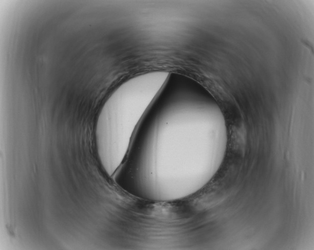 X0000096160612200801180853