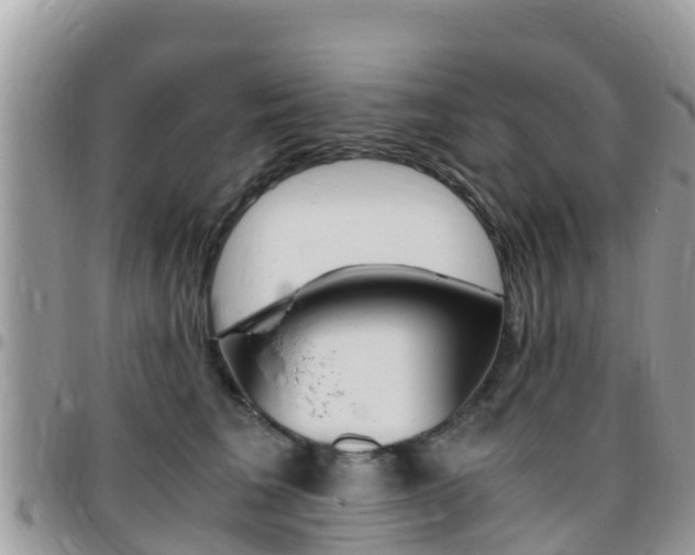 X0000096160613200801180853