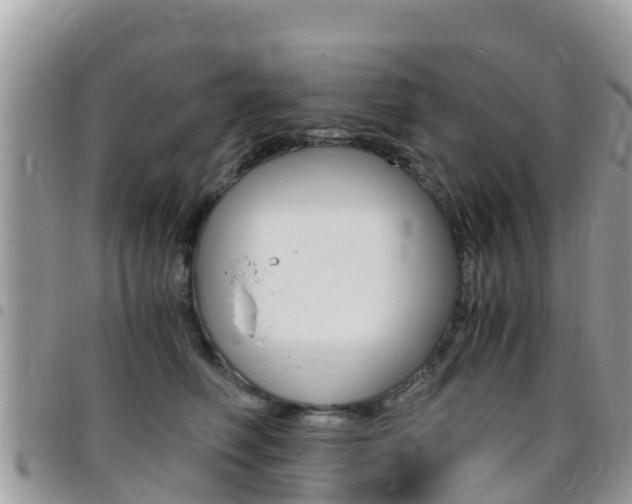 X0000096160614200801180853
