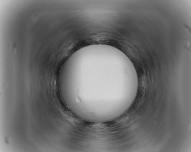X0000096160615200801180853