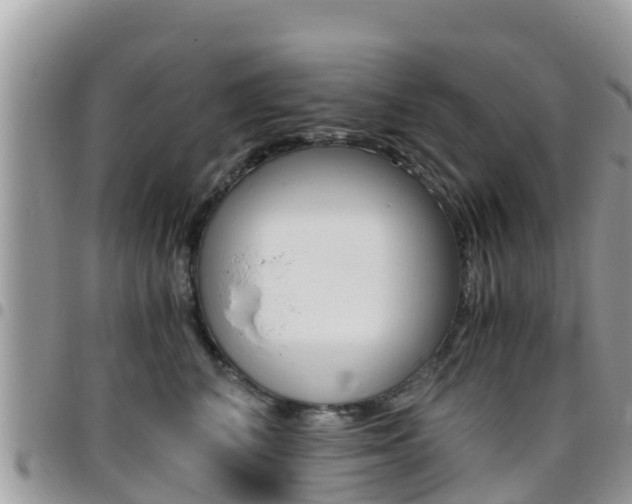 X0000096160616200801180853