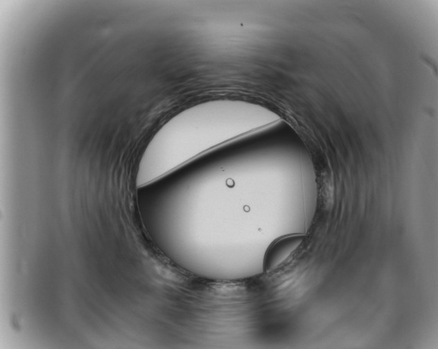 X0000096160619200801180853