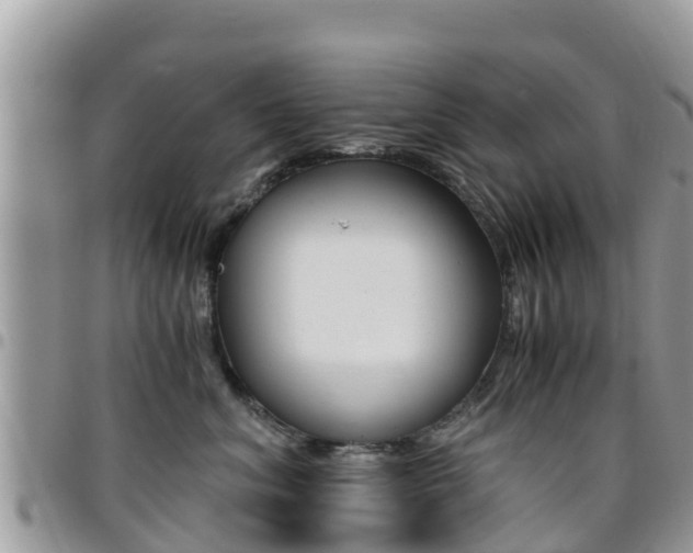 X0000096160620200801180853