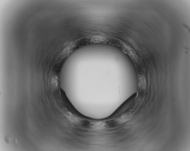 X0000096160621200801180853