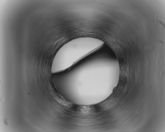 X0000096160623200801180853