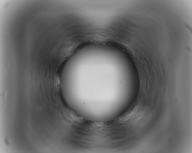 X0000096160624200801180853