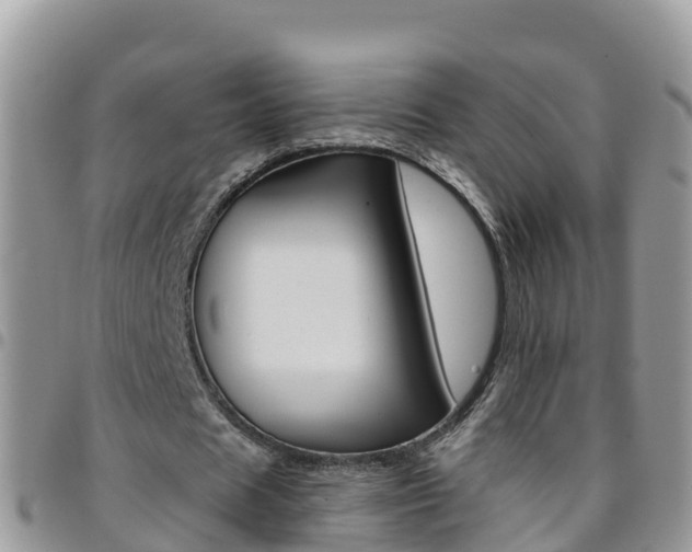 X0000096160625200801180852