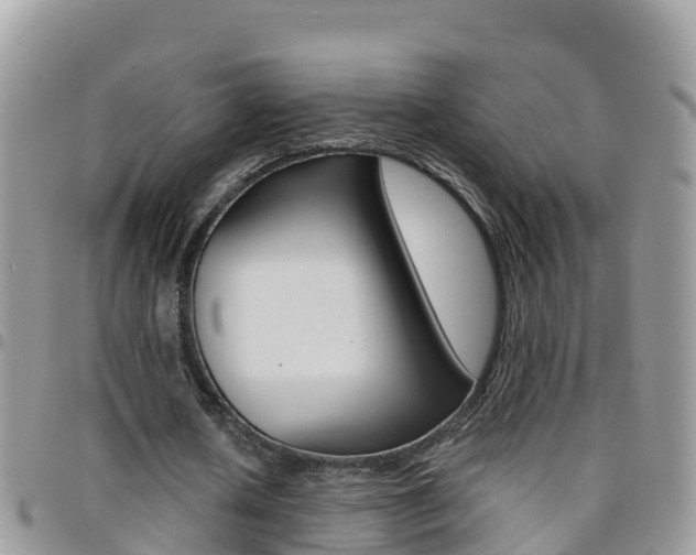 X0000096160626200801180852