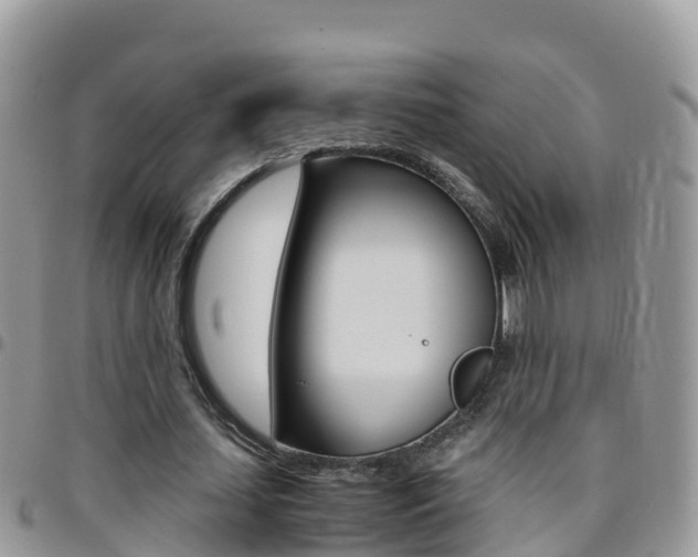 X0000096160627200801180852