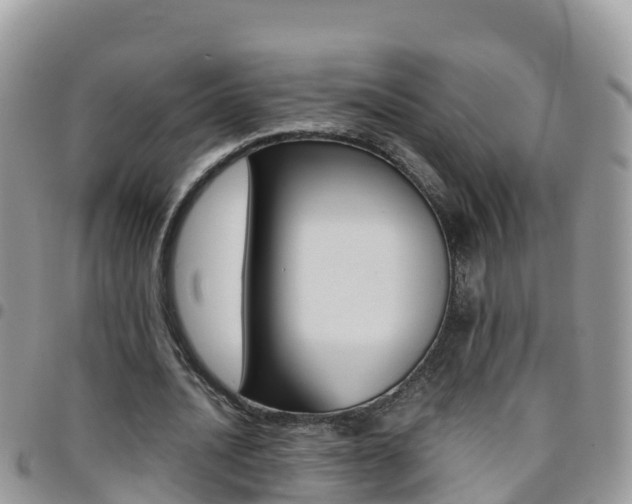 X0000096160628200801180852